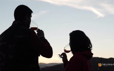 Video storytelling: Bodega 10 delirios